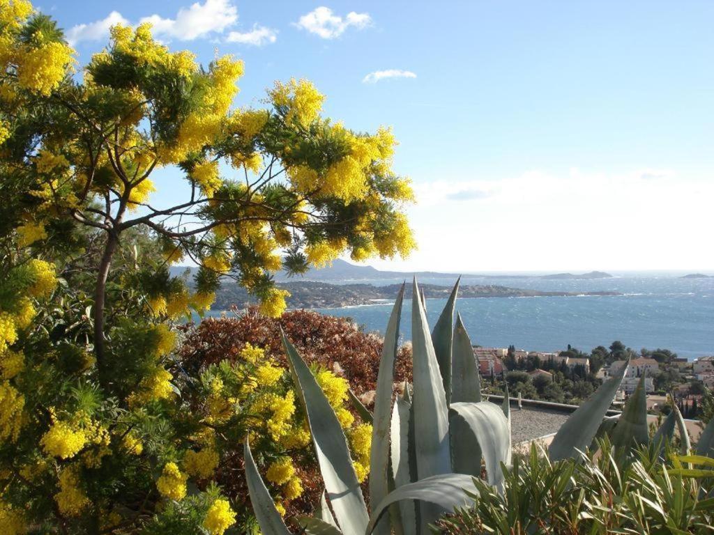 Studio Val Gardénias Bandol Exterior foto